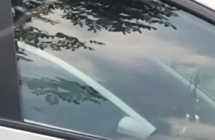 Cho ny đi học lái xe và cái kết…