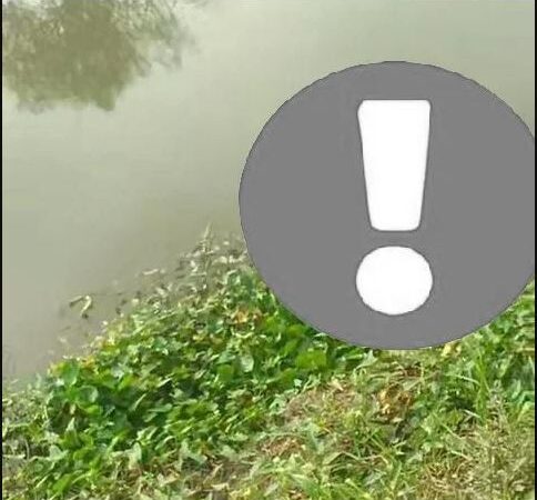 Quá xót xa!!! đã tìm thấy th/i the tài xế vụ nh@y câ`u Sài Gòn cách xa 5km