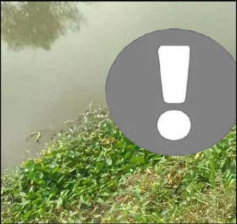 Quá xót xa!!! đã tìm thấy th/i the tài xế vụ nh@y câ`u Sài Gòn cách xa 5km