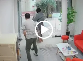 khứa thế này chắc sáng khởi nghiệp chiều khởi tố luôn