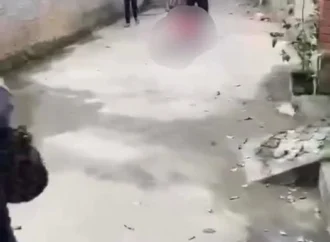 Vjdeo shipeer bị hanh hung daman