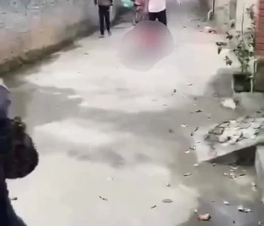 Vjdeo shipeer bị hanh hung daman