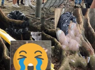 Xuất hiện video gây sốc về vụ người đàn ông bị lấy cấp thủ Cân nhắc khi xem