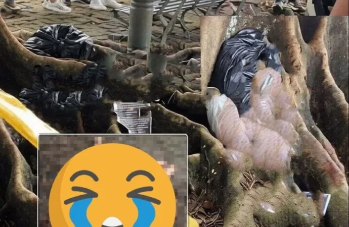 Xuất hiện video gây sốc về vụ người đàn ông bị lấy cấp thủ Cân nhắc khi xem