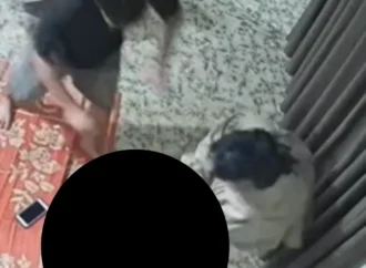 Vjdeo Vợ tương tác chồng trước mặt bạn bè…