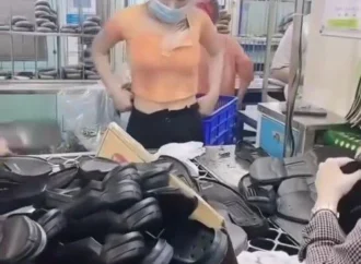 [Vjde0] Cho vk đi làm cty và cái kết