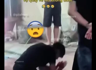 Vợ xuống đi làm công ty có người yêu mới, chồng bắt được vẫn van xin vợ về cùng