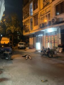 Mỗ Lao, Hà Đông: Ngườj đàn ông rơj từ tầ:ng ca:o…tv tại chỗ