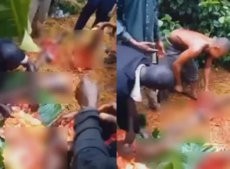 Xuất hiện thông tin về hành vi ăn th.ịt ng, chưa rõ phe gây ra