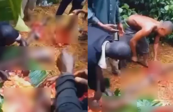 Xuất hiện thông tin về hành vi ăn th.ịt ng, chưa rõ phe gây ra