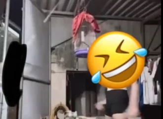 Ủa nó có tội tình gì z ! tỘI em nó quá. 🙁