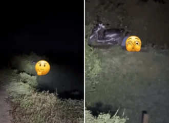 [VIDEO] Các cụ chiến quá !!