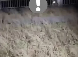 Phát hiện cặp đôi …. trong đêm