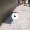 Video, diễn biến vụ việc